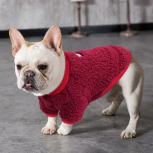 Cozy winter jacket for dogs