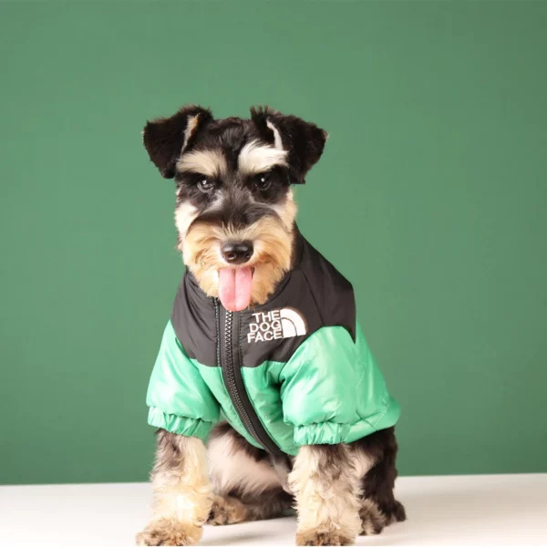 Down jacket for dogs