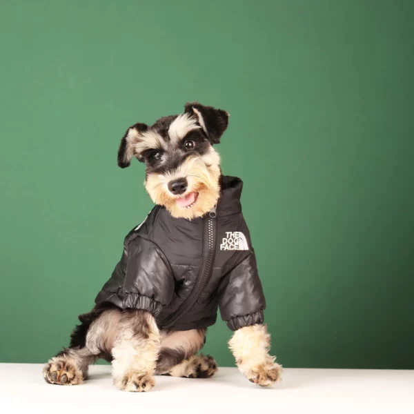 Down jacket for dogs