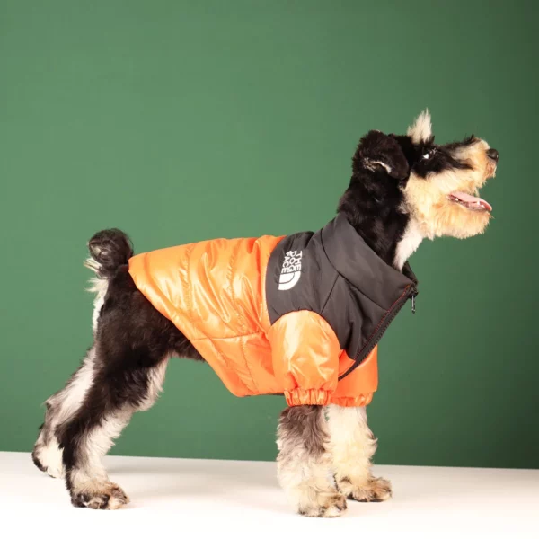 Down jacket for dogs