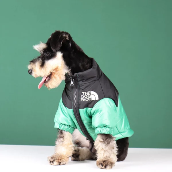 Down jacket for dogs