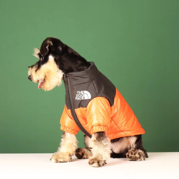 Down jacket for dogs