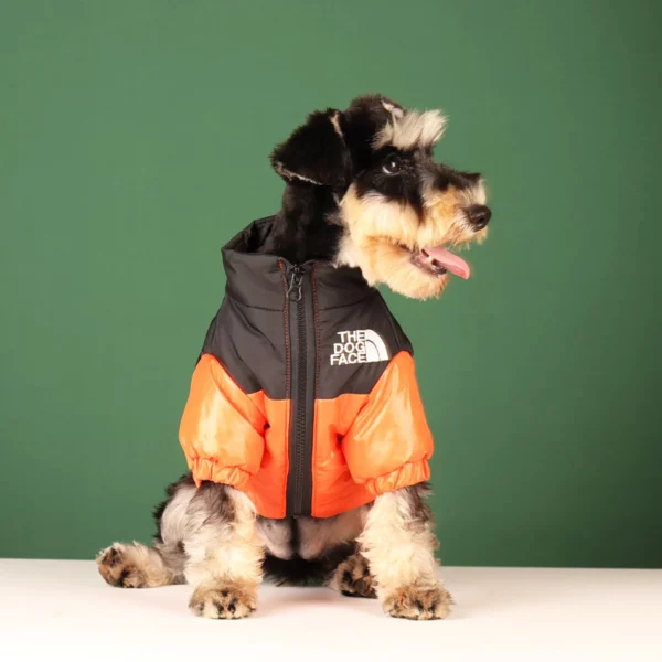 Down jacket for dogs