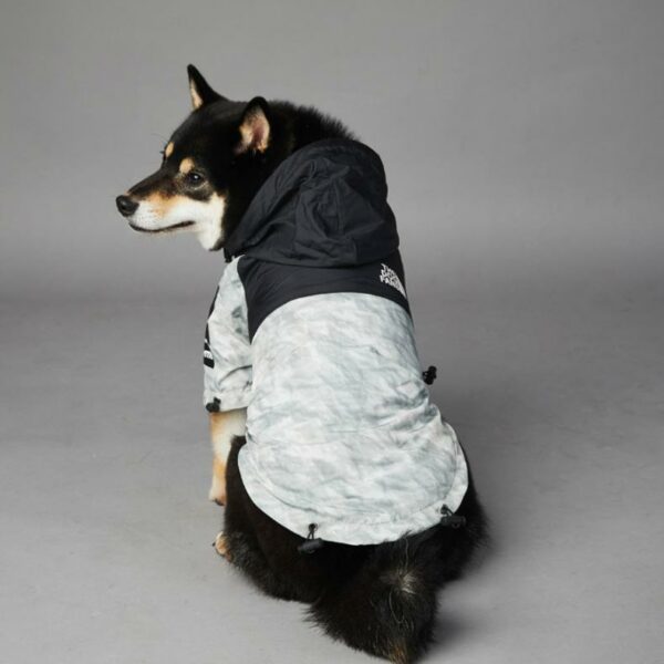 Waterproof dog jacket with the dog fan lettering