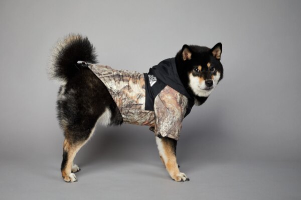 Waterproof dog jacket with the dog fan lettering