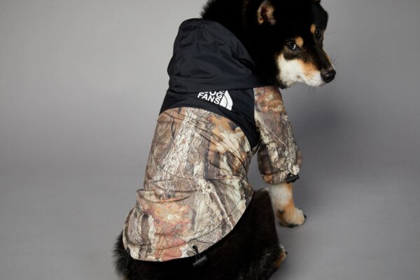 Waterproof dog jacket with the dog fan lettering