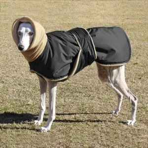 Solid color waterproof warm clothing for large dogs