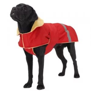 Warm solid color clothing for dogs