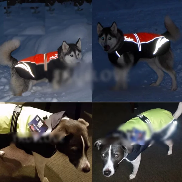 Reflective waterproof clothing for dogs