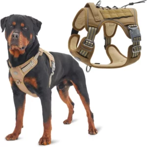 Beige sturdy dog ​​harness