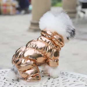 Fashion golden dog down jacket