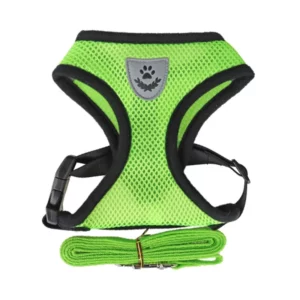 Green harness and nylon leash for dogs