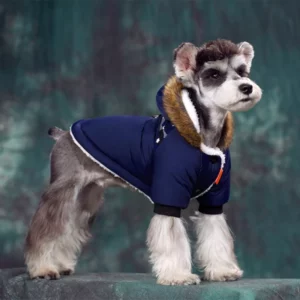 Elegant blue dog down jacket with fur hood