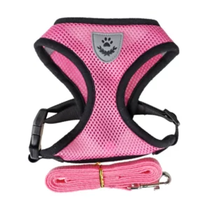 Pink harness and nylon leash for dogs