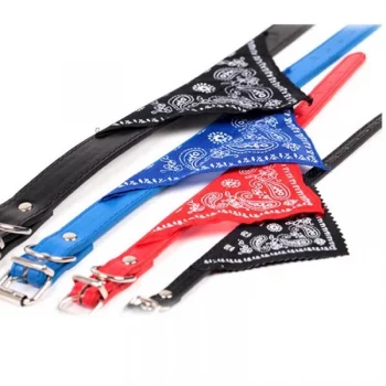 Bandana-ajustable-pour-chien-Accessoire-chien-Collier-chien-couleur-BleuNoirRose-clairRose-vifRougeVert-1-600x600-1.webp