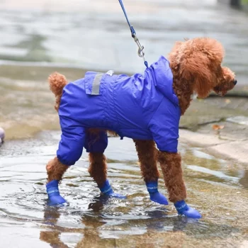 Botte-de-pluie-impermeable-pour-chien-Chaussure-pour-chien-Vetement-chien-couleur-BleuJauneNoirRoseRougeVertViolet-1-600x600-1.webp