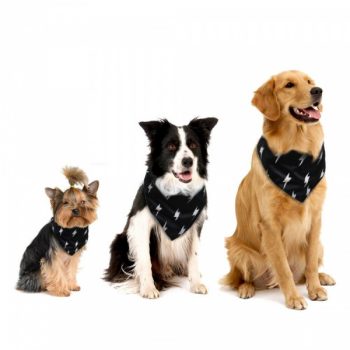 Collier-Bandana-pour-chiens-Accessoire-chien-Collier-chien-couleur-Noir-600x600-1.jpeg