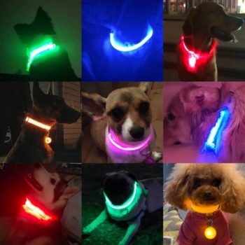 Collier-a-LED-rechargeable-par-cable-USB-pour-chien-Accessoire-chien-Collier-electrique-chien-a7796c561c033735a2eb6c-Ble-1-600x600-1.jpg