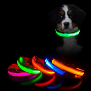 Collier-a-LED-rechargeable-par-cable-USB-pour-chien-Accessoire-chien-Collier-electrique-chien-couleur-BleuJauneRoseRouge-1-600x600-1.webp