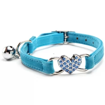 Collier-en-velours-doux-pour-chien-Accessoire-chien-Collier-chien-Couleur-Bleu.webp