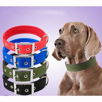 Colliers-pour-chien-solides-en-nylon-Accessoire-chien-Collier-chien-a7796c561c033735a2eb6c-BleuNoirRoseVert-1-600x600-1.jpg