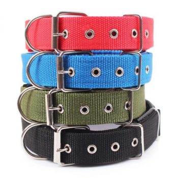 Colliers-pour-chien-solides-en-nylon-Accessoire-chien-Collier-chien-couleur-BleuNoirRoseVert-1-600x600-1.jpg