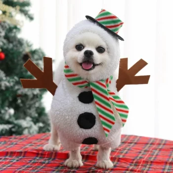 Deguisement-de-noel-pour-chien-bonhomme-de-neige-Deguisement-de-noel-pour-chien-Deguisement-pour-chien-Vetement-chien-Co-6.webp