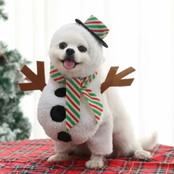 Deguisement-de-noel-pour-chien-bonhomme-de-neige-Deguisement-de-noel-pour-chien-Deguisement-pour-chien-Vetement-chien-co-600x600-1.webp