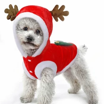 Deguisement-de-noel-pour-chien-cerf-pere-noel-Deguisement-de-noel-pour-chien-Deguisement-pour-chien-Vetement-chien-coule-600x600-1.webp