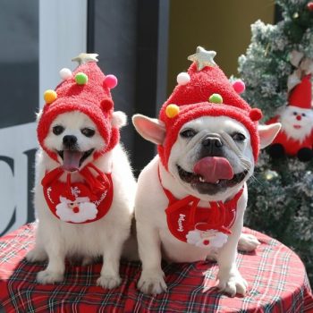 Deguisement-de-noel-pour-chien-chapeau-de-noel-Deguisement-de-noel-pour-chien-Deguisement-pour-chien-Vetement-chien-coul-1-600x600-1.jpg