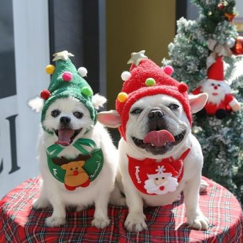 Deguisement-de-noel-pour-chien-chapeau-de-noel-Deguisement-de-noel-pour-chien-Deguisement-pour-chien-Vetement-chien-coul-600x600-1.jpg