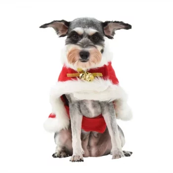 Deguisement-de-noel-pour-chien-pere-noel-Deguisement-de-noel-pour-chien-Deguisement-pour-chien-Vetement-chien-couleur-Ro-1-600x600-1.webp