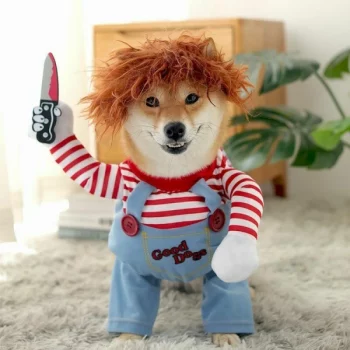 Deguisement-halloween-pour-chien-Chucky-Deguisement-halloween-pour-chien-Deguisement-pour-chien-Vetement-chien-pa_couleu-2-600x600-1.webp