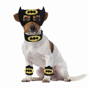 Deguisement-halloween-pour-chien-batman-Deguisement-halloween-pour-chien-Deguisement-pour-chien-Vetement-chien-couleur-B-2-600x600-1.webp