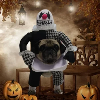 Deguisement-halloween-pour-chien-clown-Deguisement-halloween-pour-chien-Deguisement-pour-chien-Vetement-chien-couleur-No-1-600x600-1.webp