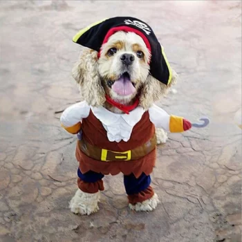 Deguisement-halloween-pour-chien-pirate-Deguisement-halloween-pour-chien-Deguisement-pour-chien-pa_couleur-2-600x600-1.webp