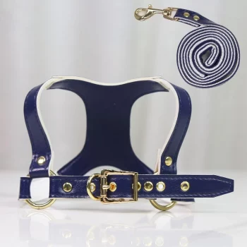 Ensemble-de-harnais-et-laisse-pour-chien-Accessoire-chien-Harnais-chien-Couleur-Bleu-Taille-M.webp