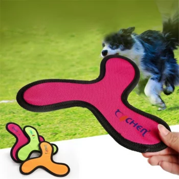 Frisbee-pour-chien-Accessoire-chien-Jouets-pour-chien-couleur-OrangeRougeVert-600x600-1.webp