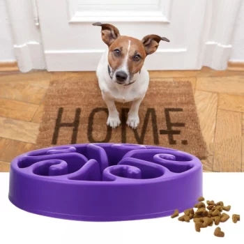 Gamelle-d8217alimentation-lente-pour-chien-Accessoire-chien-Gamelle-chien-couleur-BleuNoirVertViolet-1-600x600-1.webp