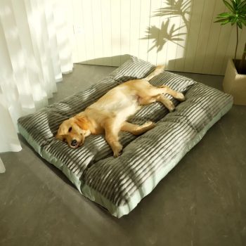 Grand-lit-amovible-pour-chien-et-chat-avec-housse-lavable-matelas-de-couchage-chaud-et-moelleux_640x640-1.jpg