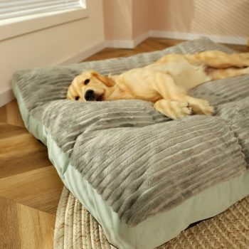 Grand-lit-amovible-pour-chien-et-chat-avec-housse-lavable-matelas-de-couchage-chaud-et-moelleux_640x640-2.jpg