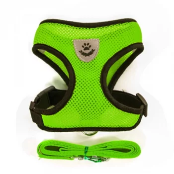 Harnais-avec-laisse-pour-chien-Accessoire-chien-Harnais-chien-Laisse-chien-Taille-S-Couleur-Vert-1-600x600-1.webp