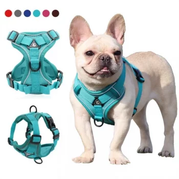 Harnais-reglable-avec-laisse-pour-chien-Accessoire-chien-Harnais-chien-Harnais-chien-anti-traction-Laisse-chien-couleur-600x600-1.webp