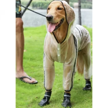 Impermeable-transparent-avec-capuche-pour-chien-Manteau-pour-chien-Vetement-chien-taille-2XL3XL4XL5XL6XL7XLXSSMLXL-1-600x600-1.webp