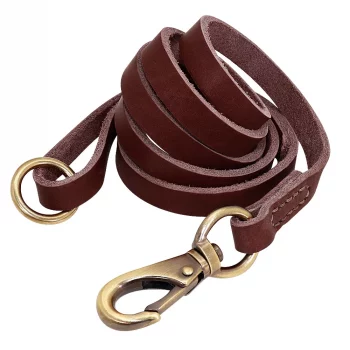 Laisse-de-dressage-pour-chien-Accessoire-chien-Laisse-chien-Taille-M-Couleur-Marron.webp