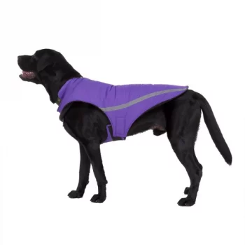 Manteau-polaire-reflechissant-pour-chiens-Manteau-pour-chien-Vetement-chien-couleur-BleuOrangeRouge-2-600x600-1.webp