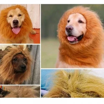 Perruque-de-lion-pour-chien-Deguisement-pour-chien-Vetement-chien-couleur-MarronOrange-1-600x600-1.webp