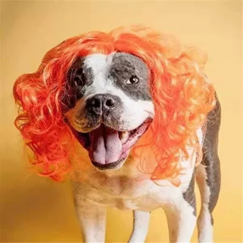 Perruque-pour-chien-cheveux-boucles-Deguisement-pour-chien-Perruques-pour-chien-couleur-OrangeRose-600x600-1.webp