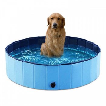 Piscine-pliable-ronde-en-PVC-pour-chien-Hygiene-chien-couleur-BlancBleuBleu-FonceRouge-2-600x600-1.jpeg