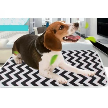 Tapis-absorbant-lavable-pour-chiens-Tapis-absorbant-pour-chien-Tapis-pour-chiens-taille-SMLXL-600x600-1.webp